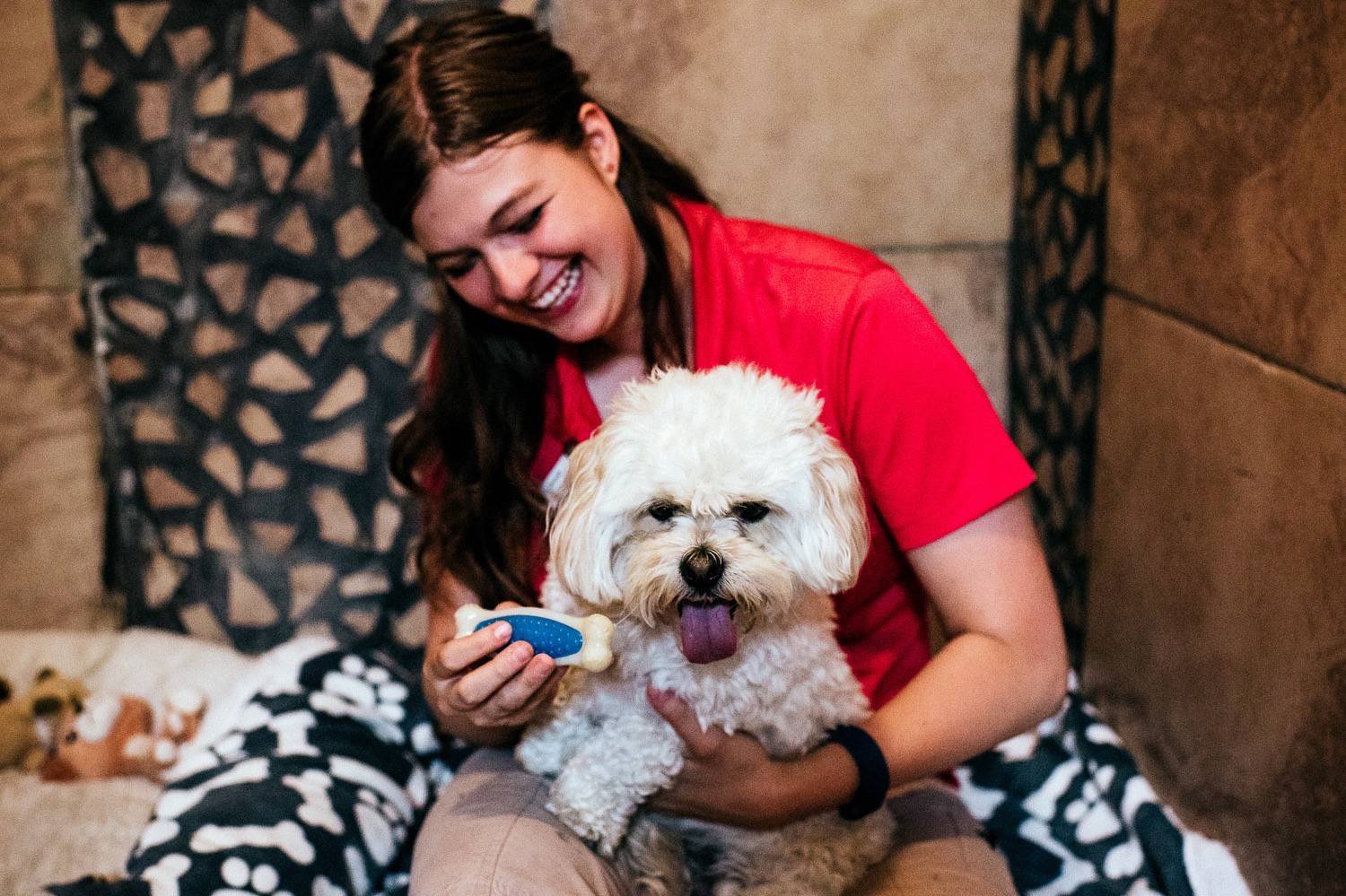 Bark Pet Resort Facebook / Bark Avenue Pet Resort Gallery / 2,101