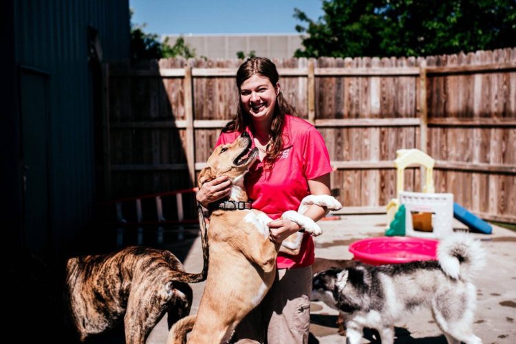 Safe and Fun Dog Daycare in Ankeny IA and West Des Moines IA